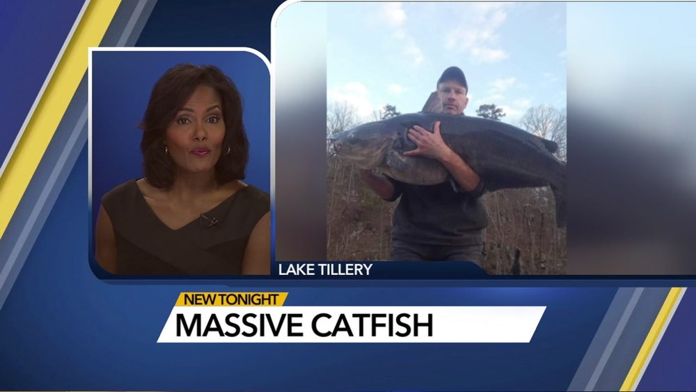 North Carolina man reels in colossal catfish