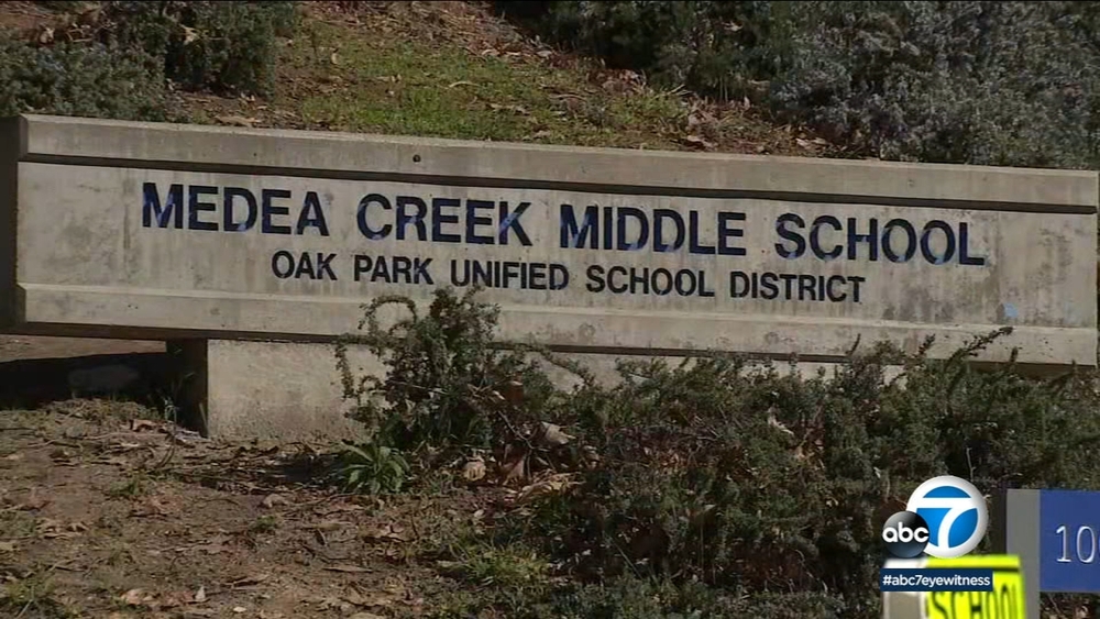 Mom says daughter was victim of hate attack by group of kids in Oak Park