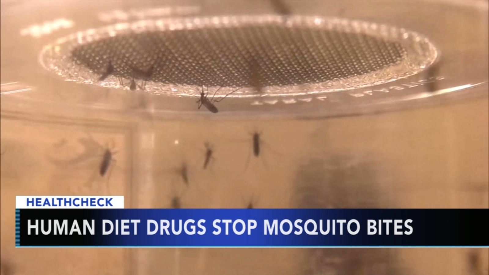 Study Human diet drugs can help mosquitoes stop biting 6abc Philadelphia