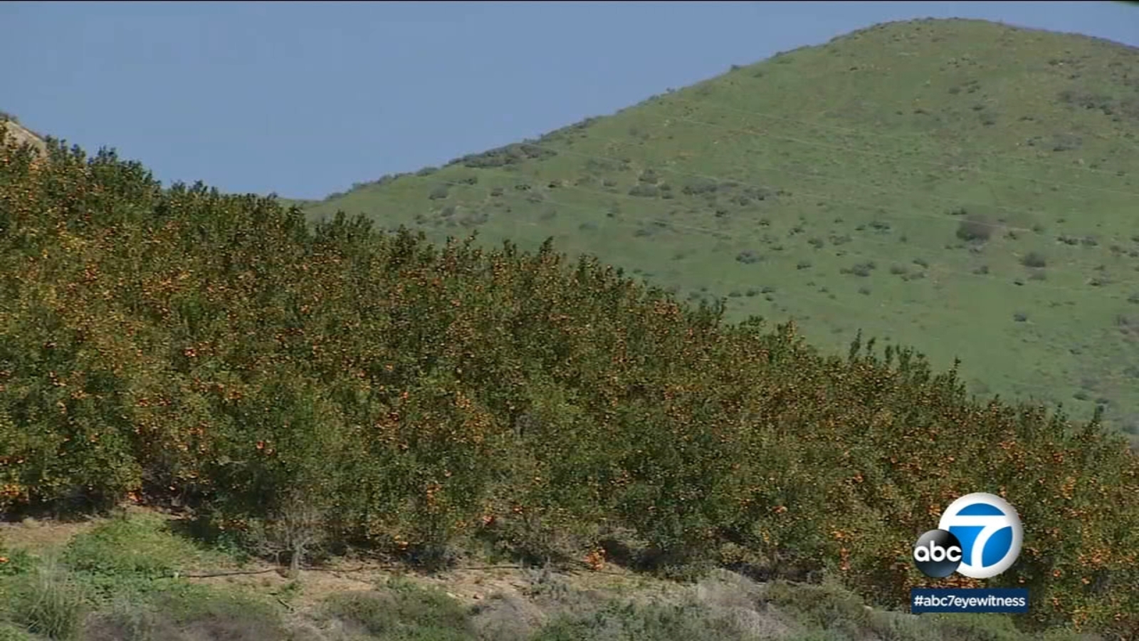 California drought Recent storms helped, but more rain is needed