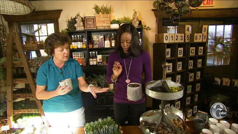 The Philly Home & Garden Show added an awesome succulent bar for 2019 | FYI Philly