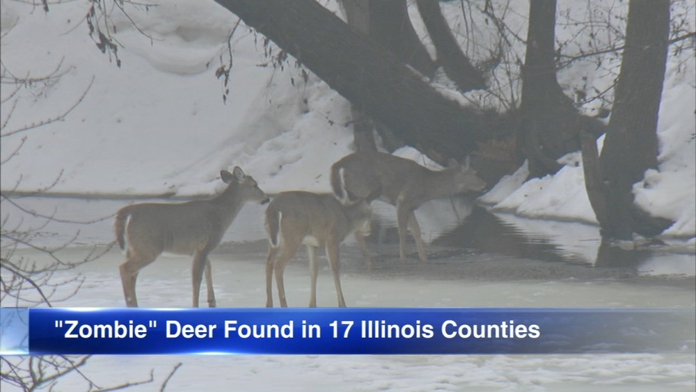 Zombie deer found in 17 Illinois counties, 24 states