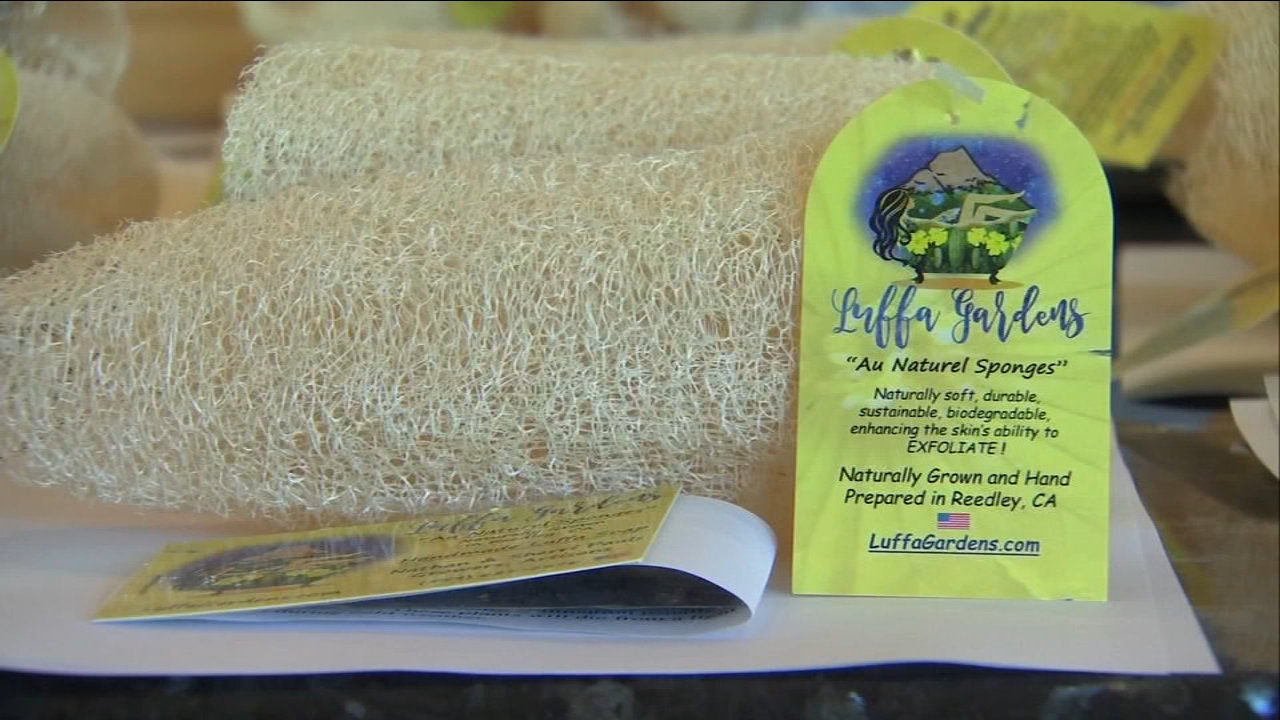Reedley's Luffa Gardens shows off popular products at World Ag Expo