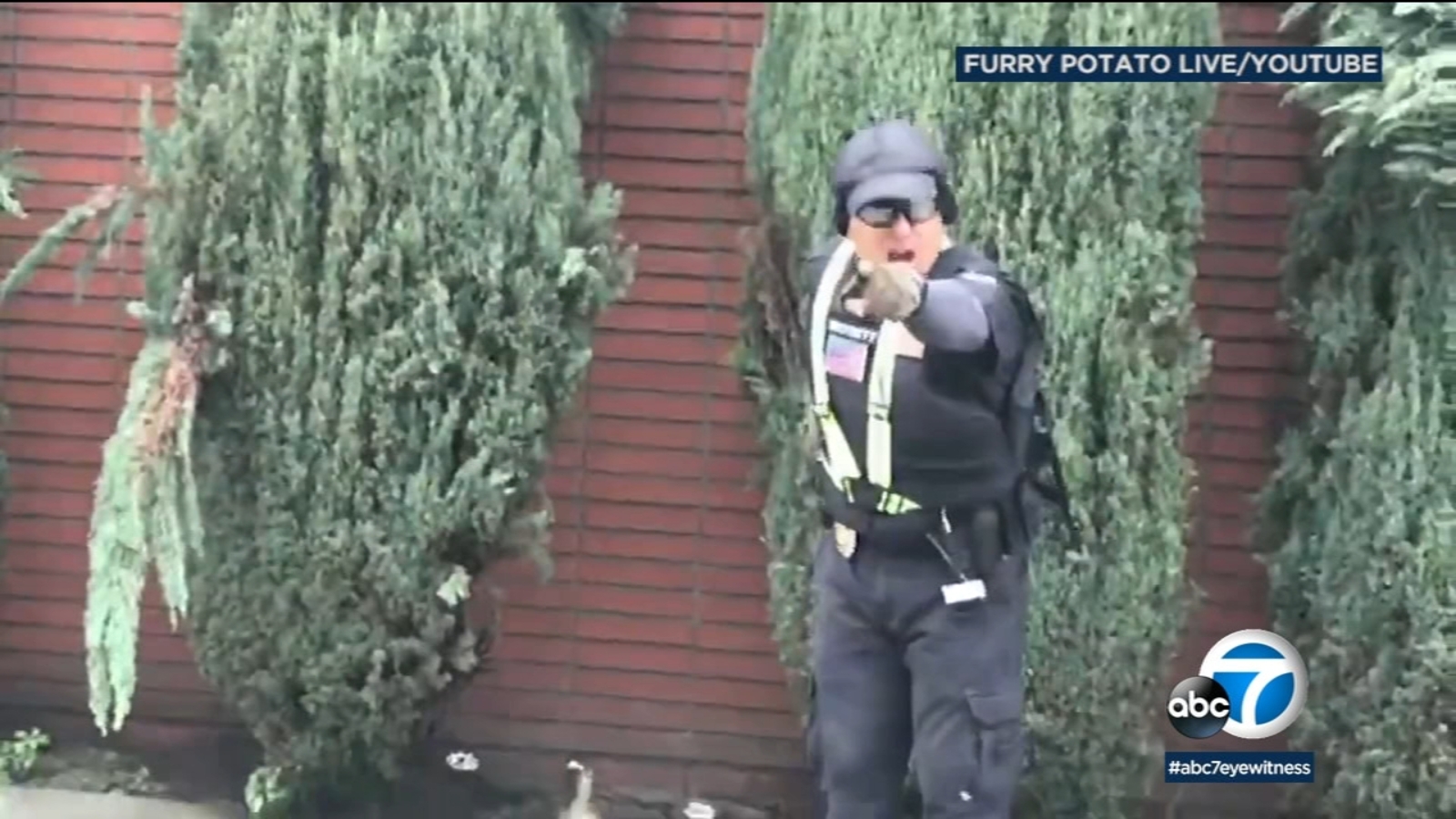 Security Guard Arrested After Shooting At Synagogue In Fairfax District Abc7 Los Angeles Security Guard Arrested After Shooting At Synagogue In Fairfax District Abc7 Los Angeles