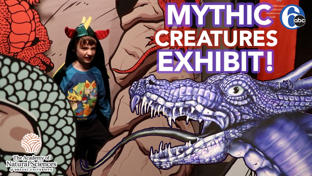 Mythic Creatures Exhibit presents mermaids, dragons in Philadelphia
