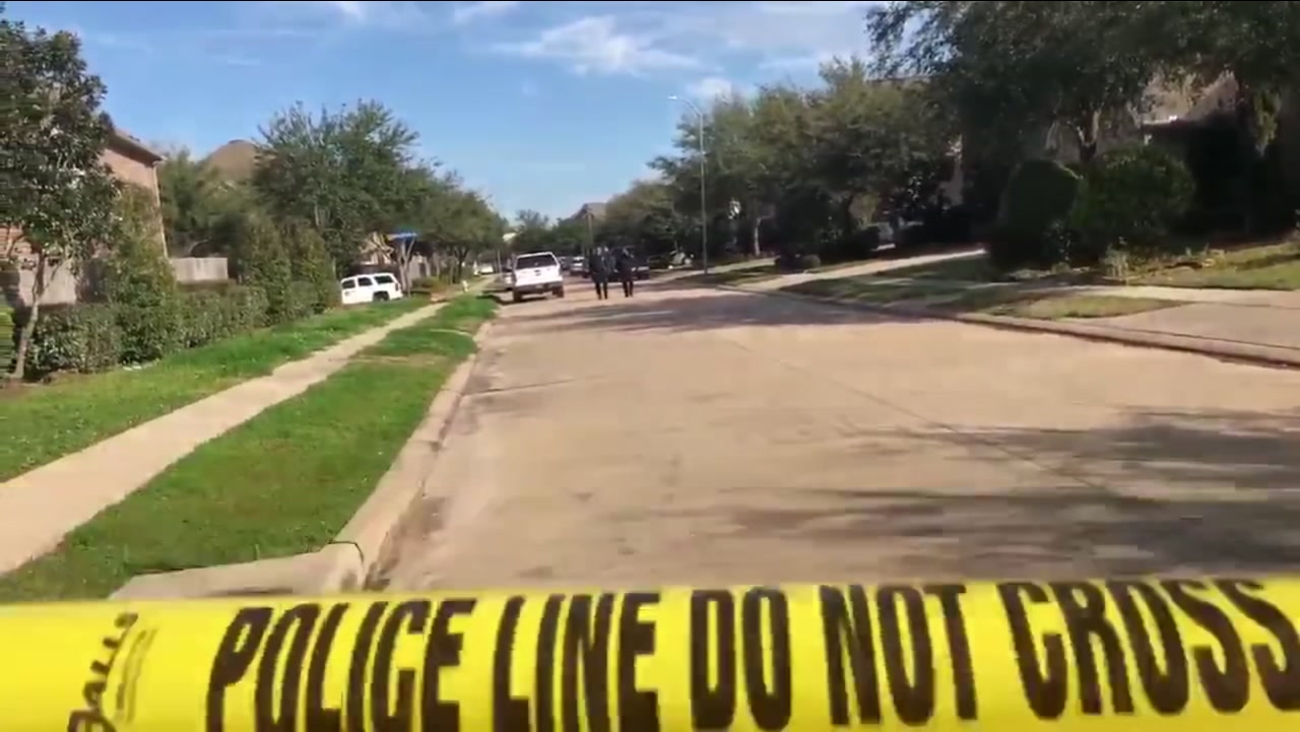 Image result for Parents dead in murder-suicide at Sugar Land home as 16-year-old daughter slept inside