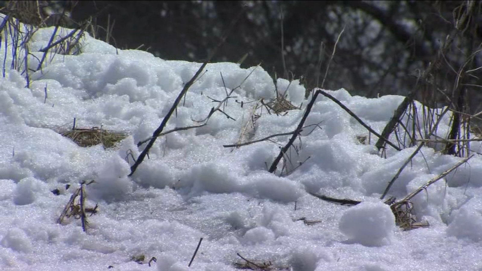 Snow levels reach lower elevations in Madera County ABC30 Fresno