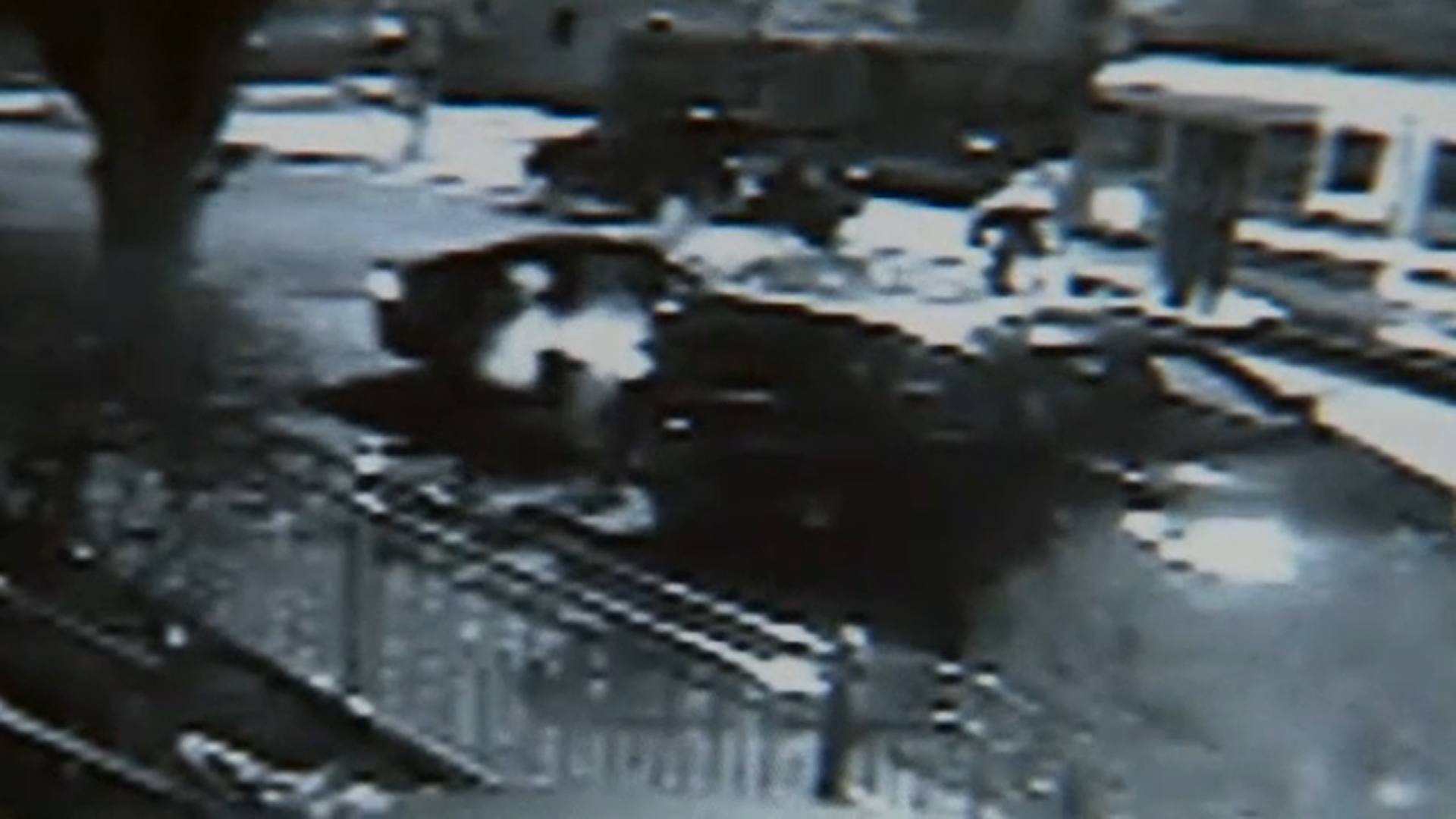 Woman shot in her car by gunman in another vehicle in the Bronx