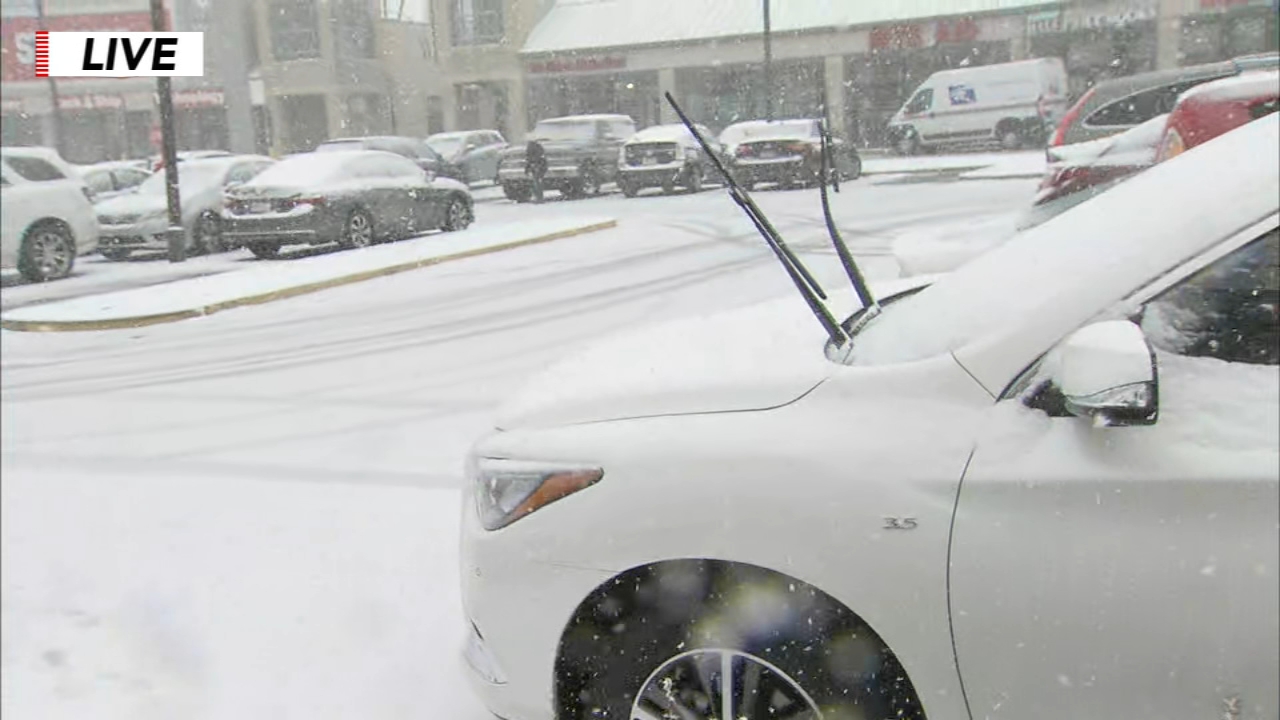 Winter storm in Havertown, Delaware County