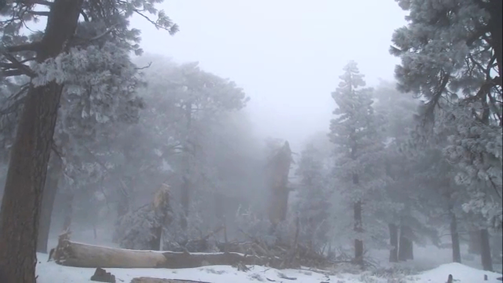 Snow could dump up to 10 inches in Wrightwood; Bear Valley schools to