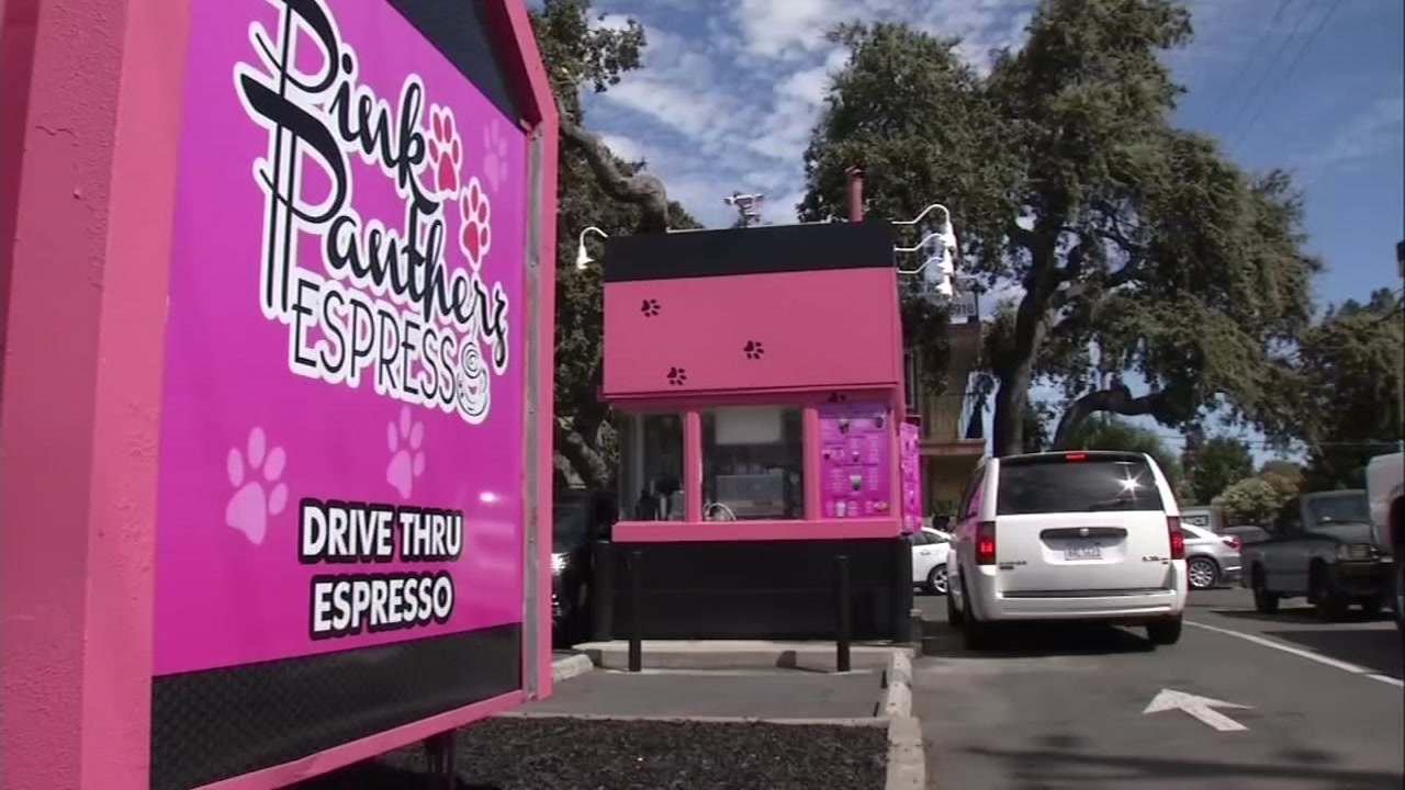 Pink pantherz espresso campbell