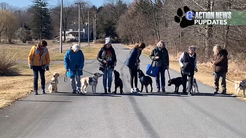 Pupdates: Meet the puppy raisers
