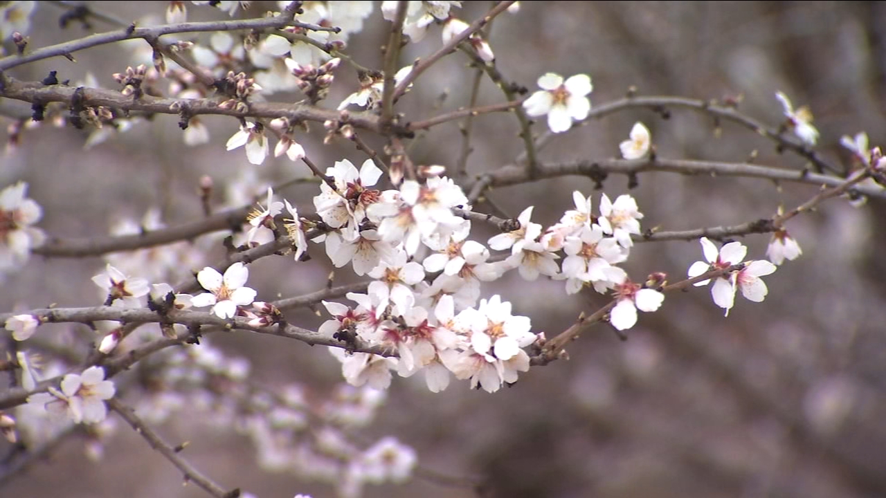 Valley farmers fear threat of more hail, freezing temperatures