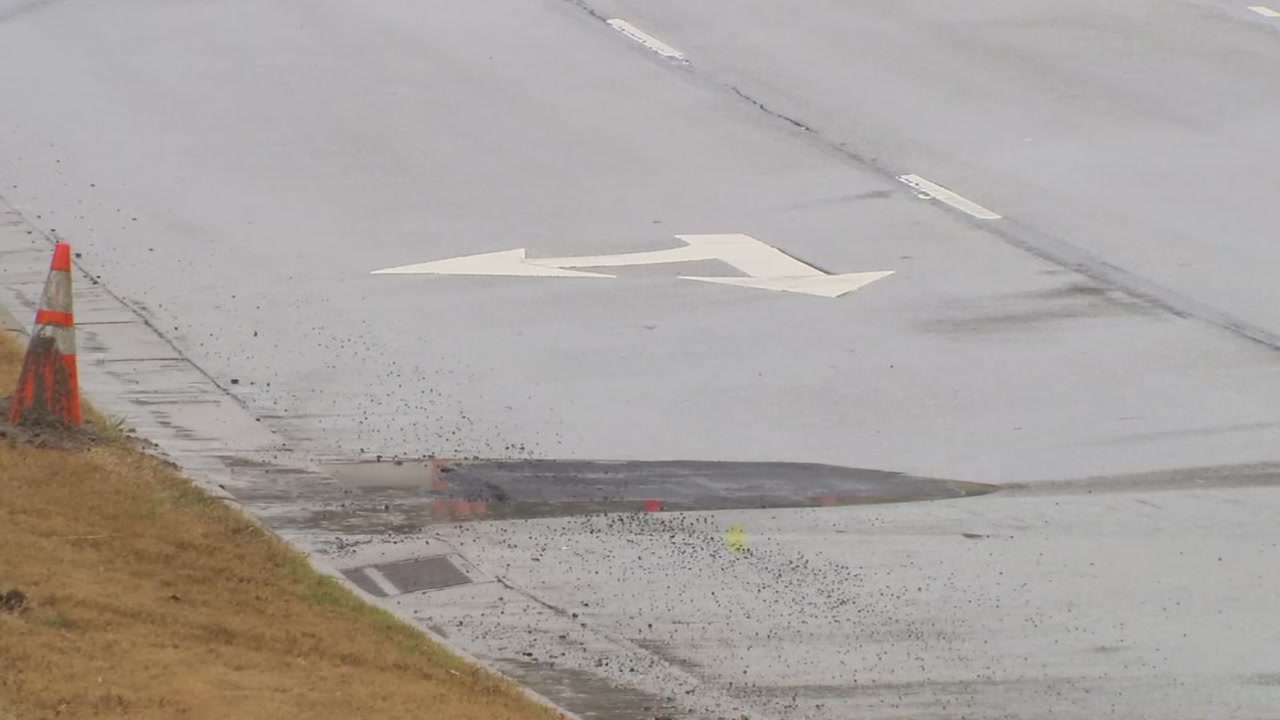 NCDOT believes beavers may be to blame for dip in Cary road
