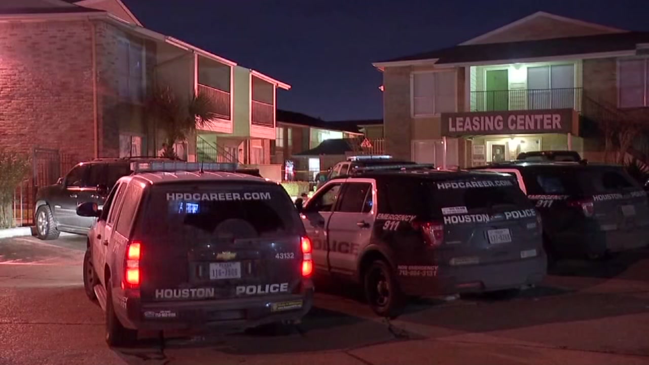 Pregnant woman recalls terrifying armed robbery