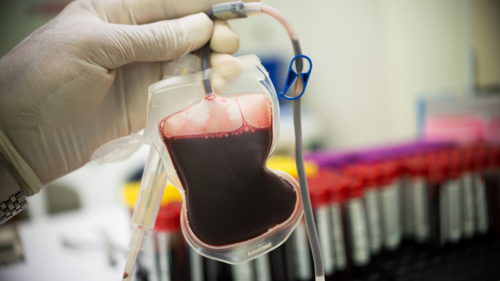 Woman died after transfusion of wrong blood type ABC13 Houston