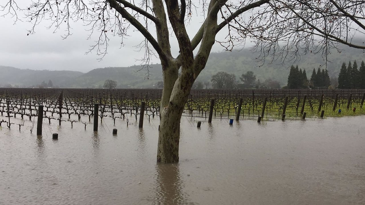 Napa River rising to flood stage