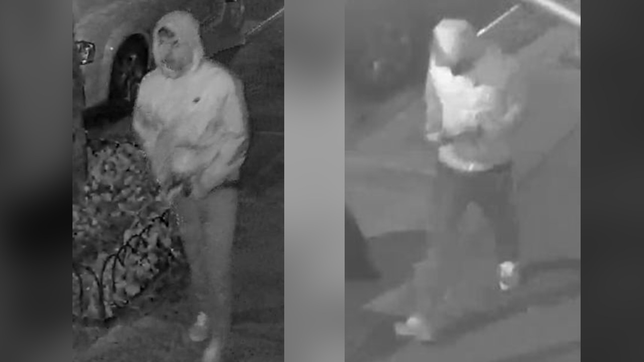 Surveillance shows suspects wanted in East Village purse snatchings
