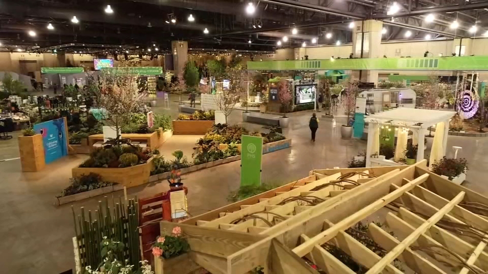 Drone 6 at the Flower Show