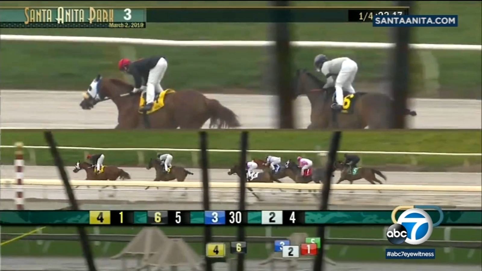 Another horse dies at Santa Anita Park, raising death toll to 20 horses within 2 months ABC7