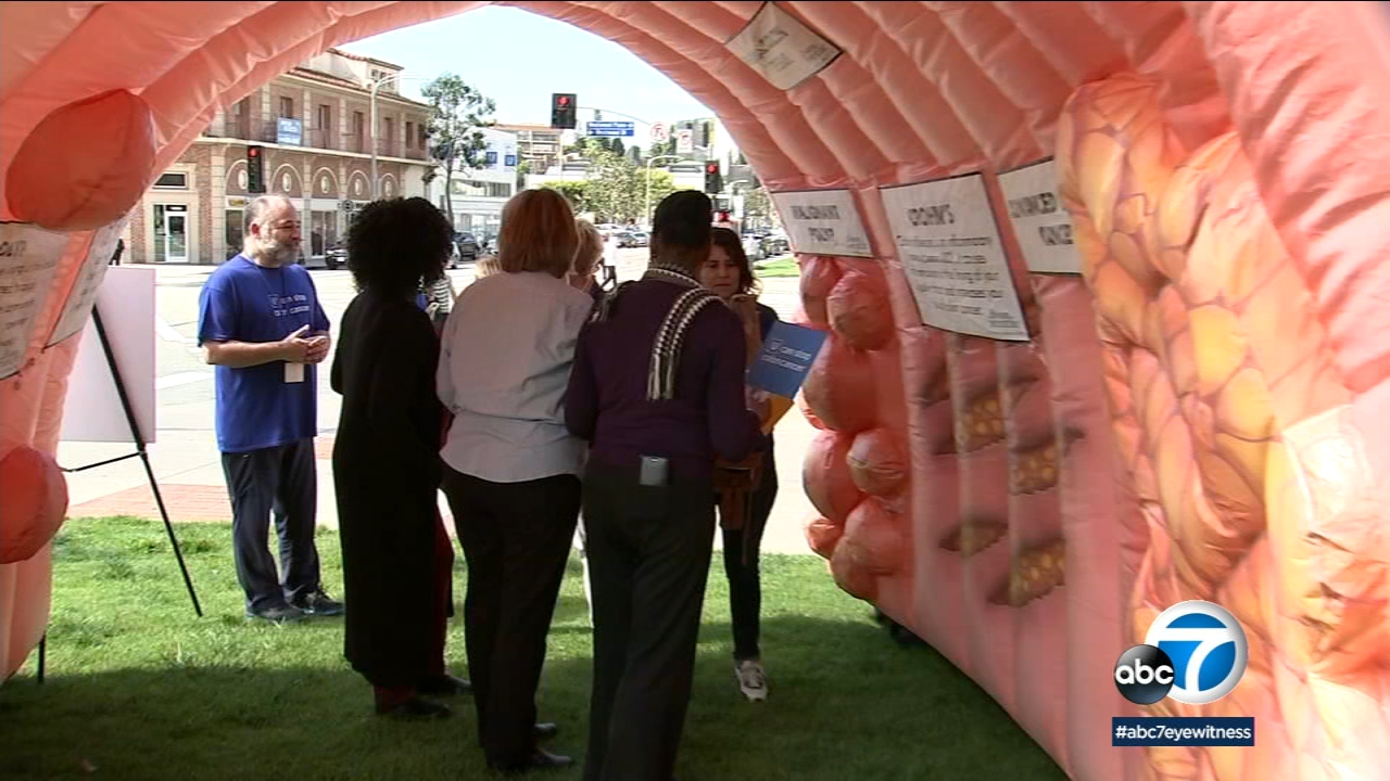 Larger-than-life inflatable colon raises awareness of colon cancer