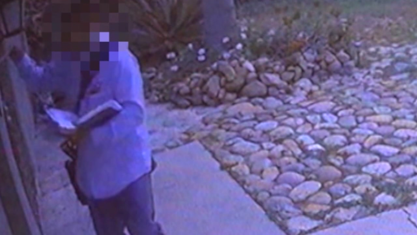 Surveillance video appears to show mailman pepper spraying dog through
