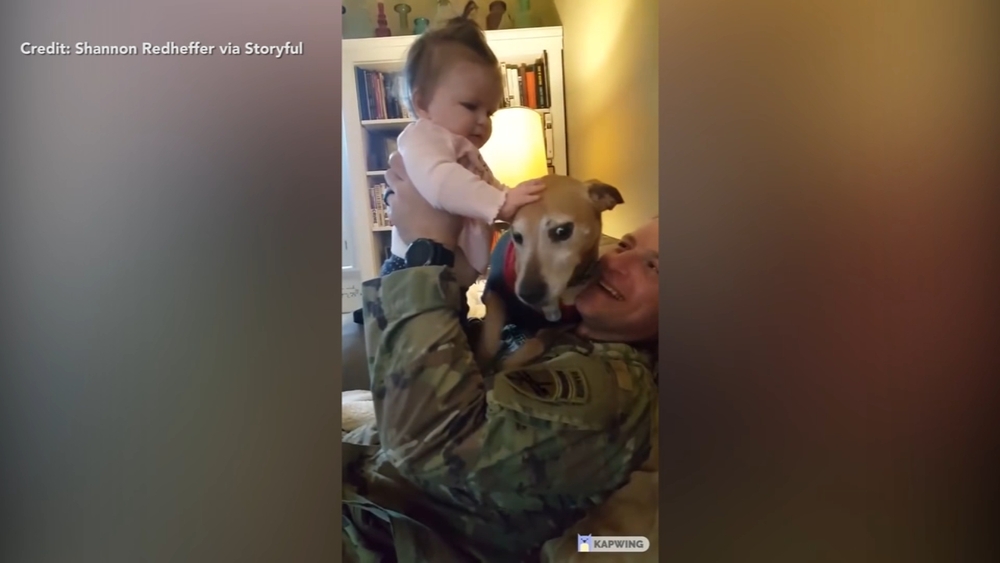 Baby, dog fight for soldier's attention in heartwarming military homecoming