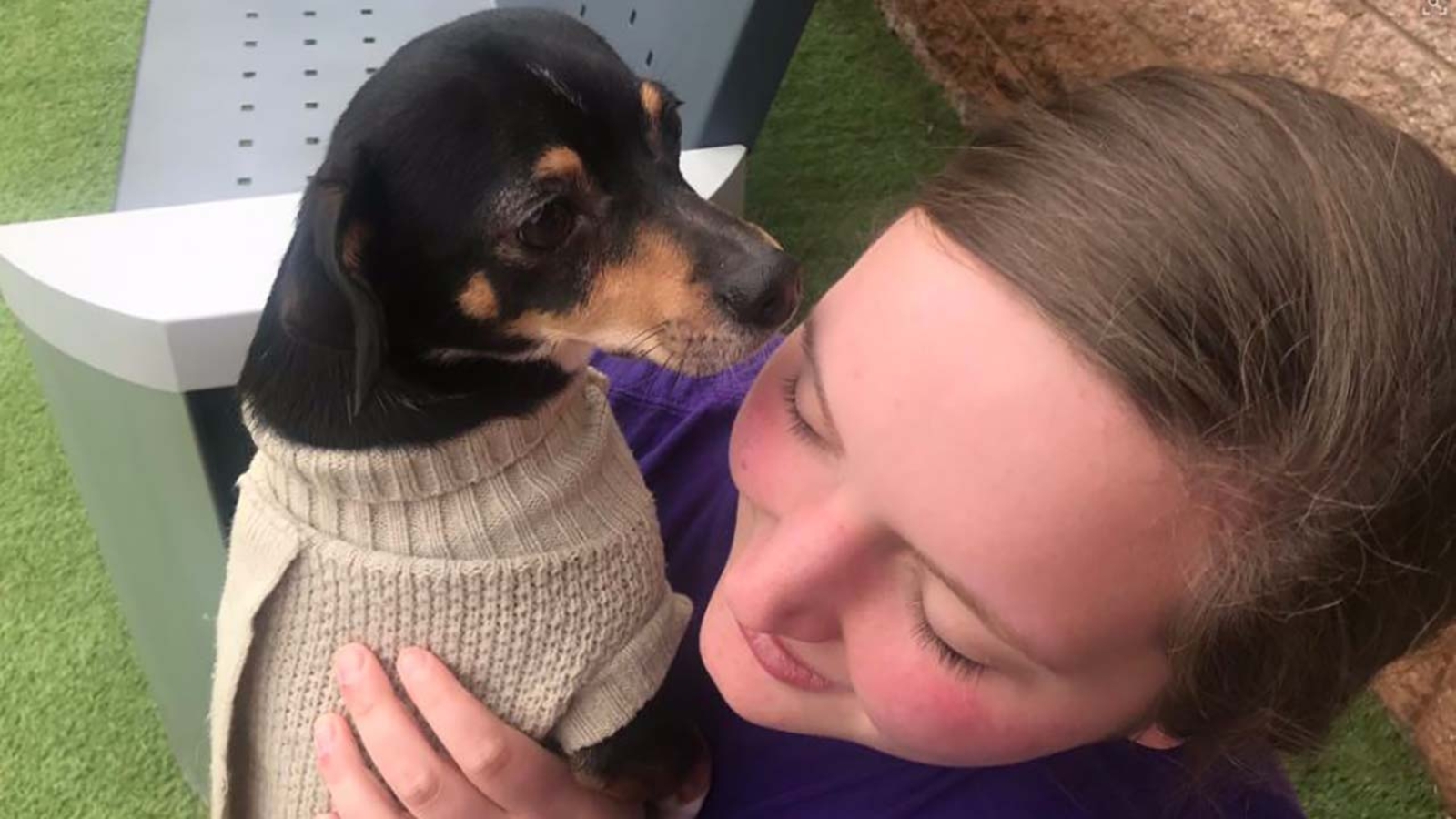 38 dogs seized from FuquayVarina home, woman charged with animal