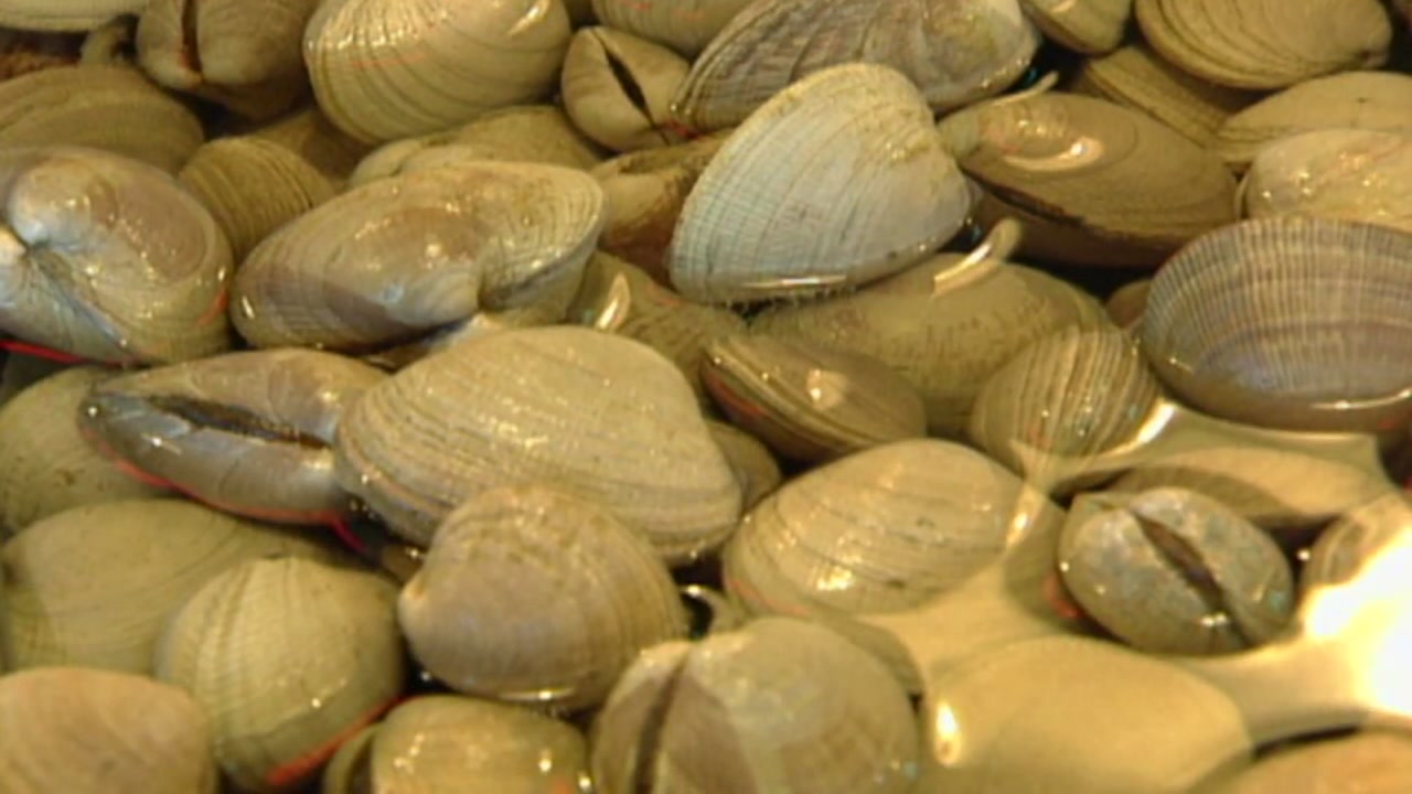 1 in 10 adults has a food allergy: study