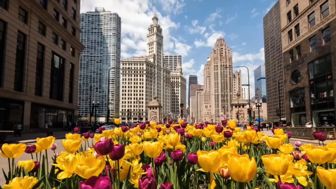 6 signs of spring in Chicago