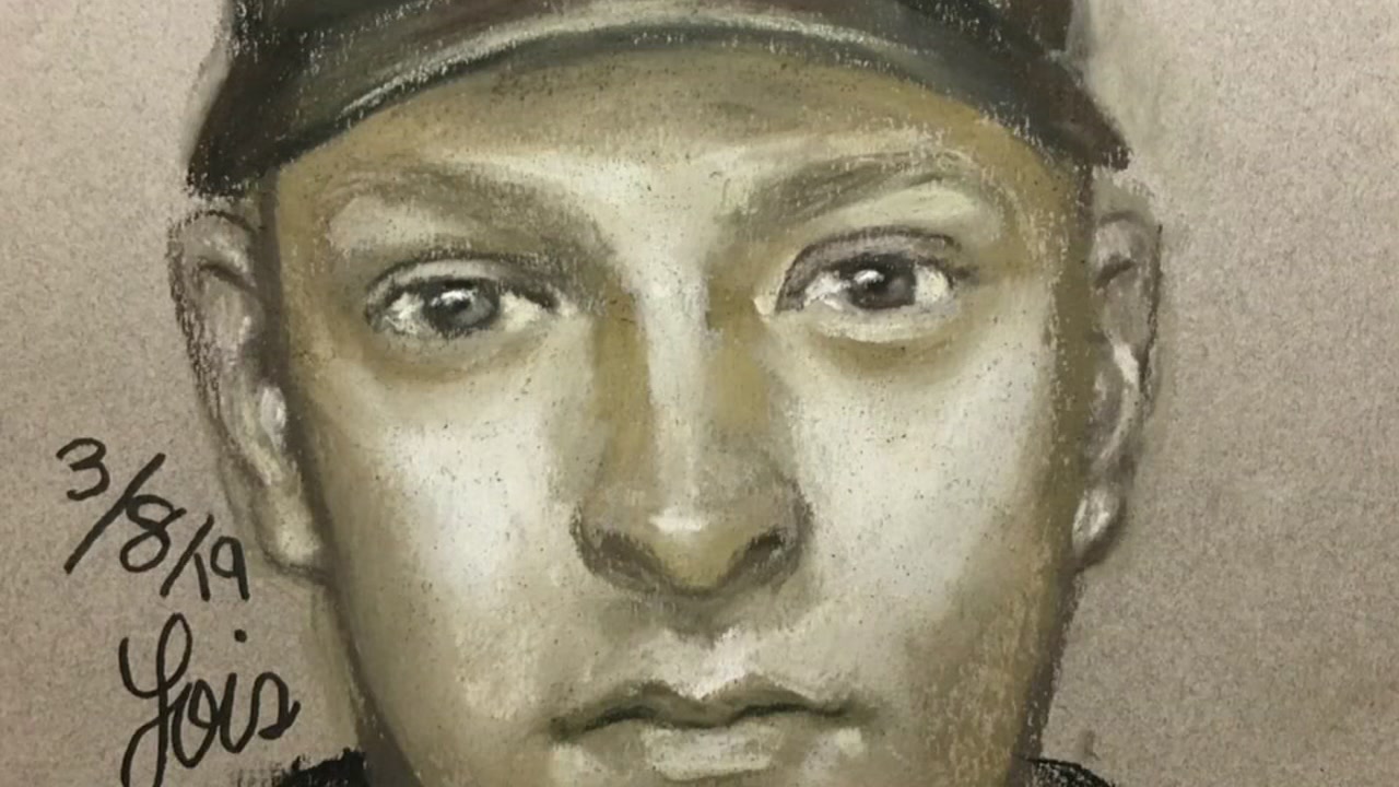 Robbery suspect wanted for shooting woman in the face