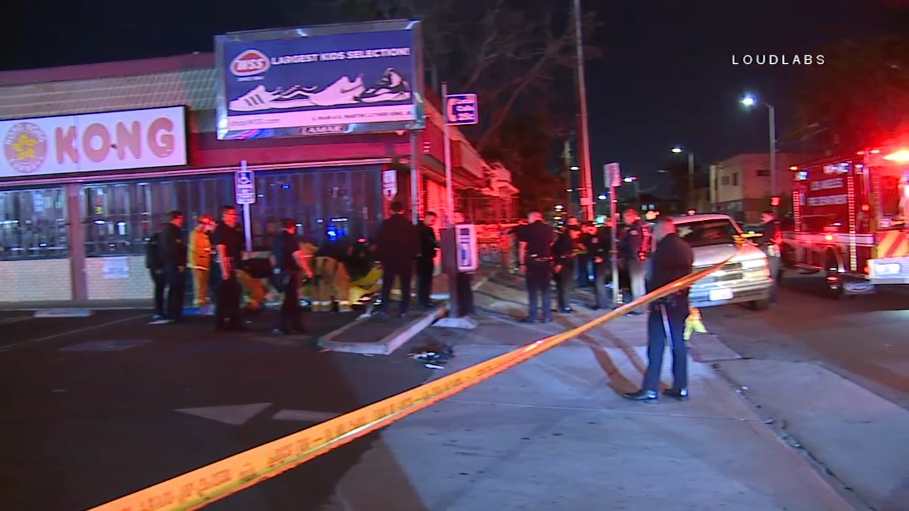 A USC student was shot and killed in a failed robbery attempt about a mile from campus early Sunday morning, police said.