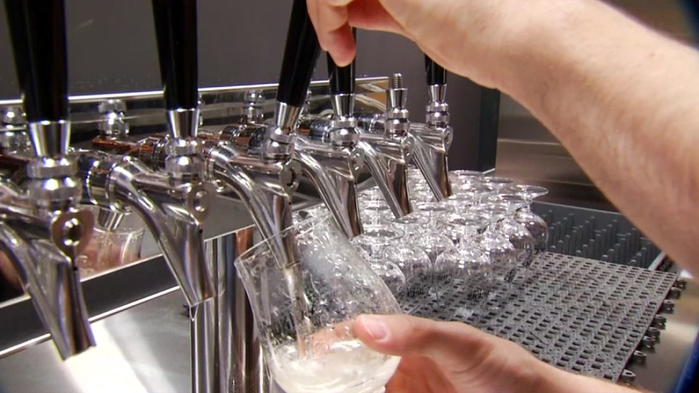 Bill proposed to allow dogs in breweries