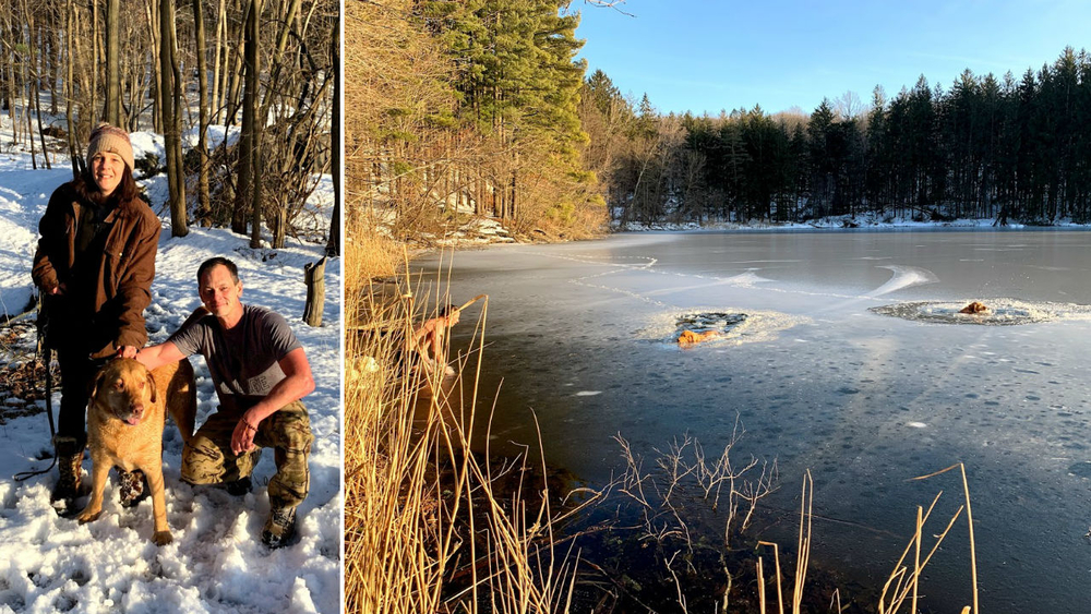 Man jumps shirtless into frozen New York lake to rescue stranded dogs