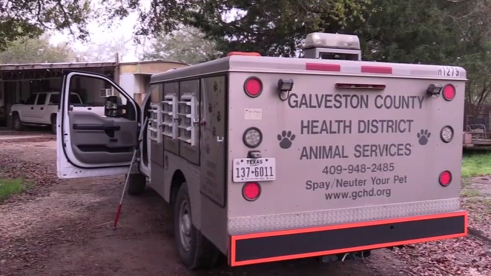 Pack of dogs maul man to death in Santa Fe