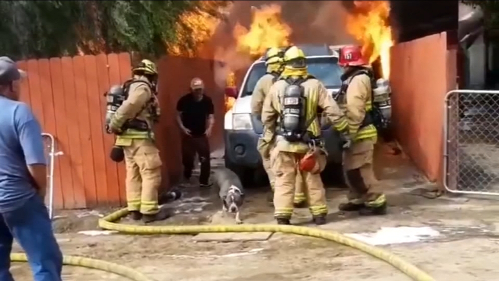 SoCal man saves family dog from burning home