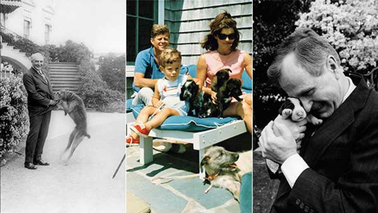 PHOTOS Celebrate Presidents Day with the 'first dogs' ABC7 Los Angeles