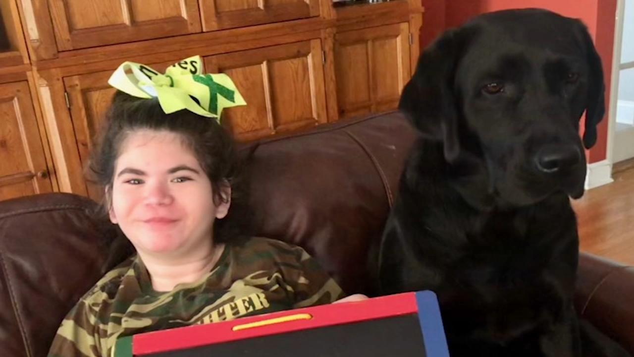 Pupdates: Checking in with Juliet and Chrystal