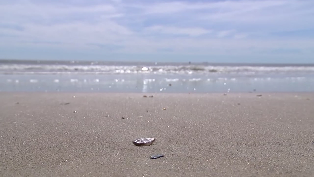 Watch: A look at the 'Crystal Coast' 6 months after Hurricane Florence