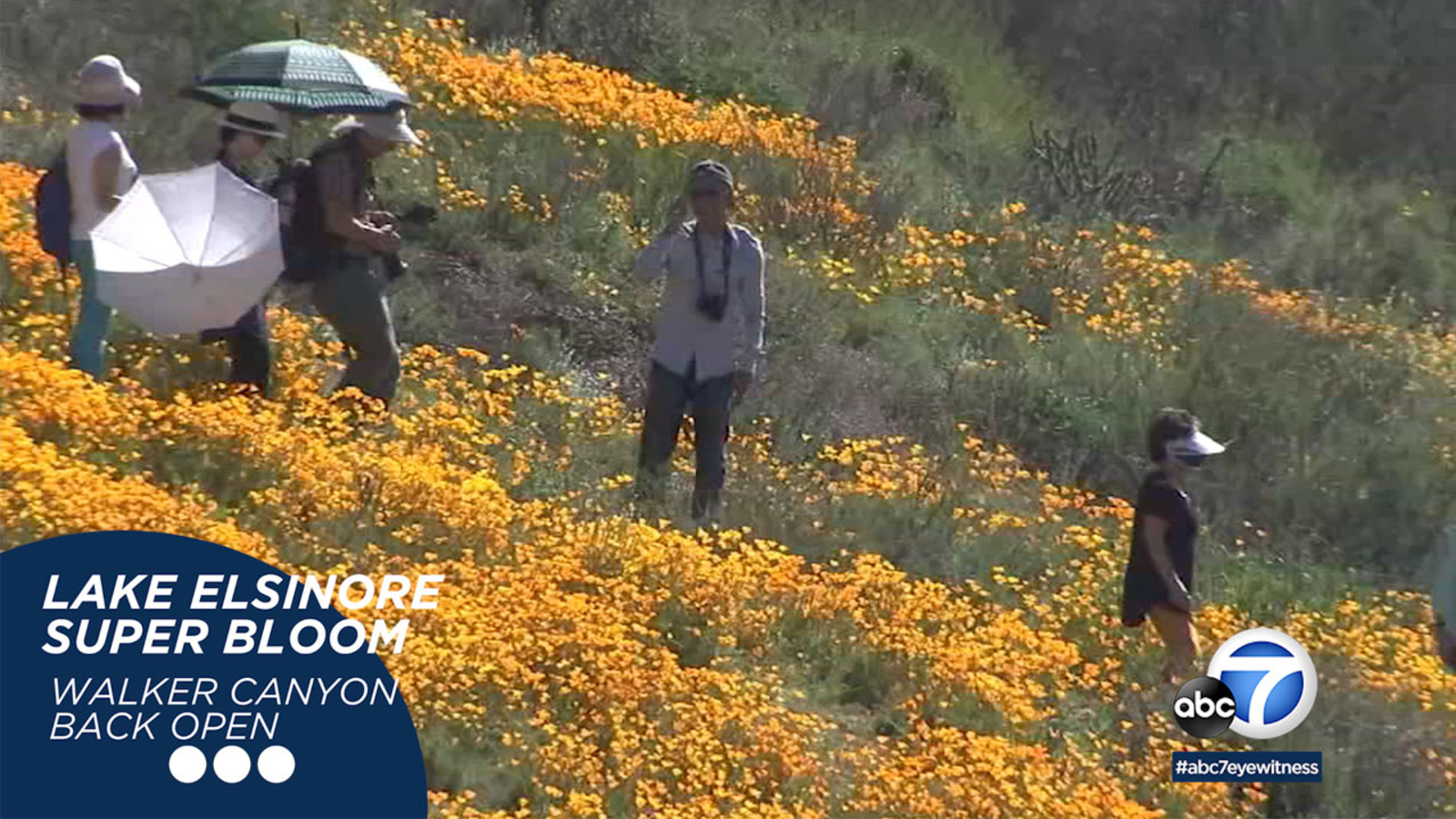 Eyewitness This Super bloom shutdown lifted, new aspirin guidelines