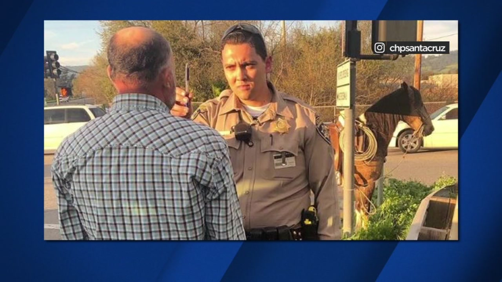 Man arrested for riding horse while drunk in Santa Cruz - ABC7 San ...