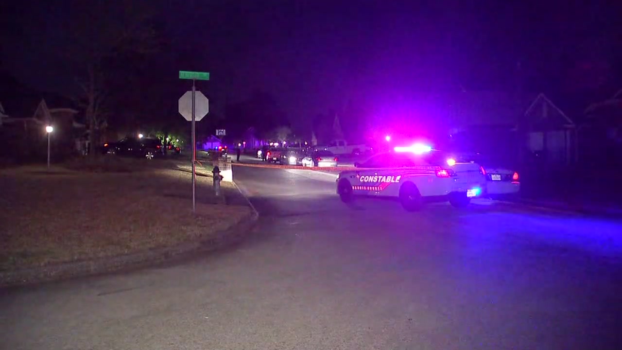 Teen accidentally shot to death by cousin