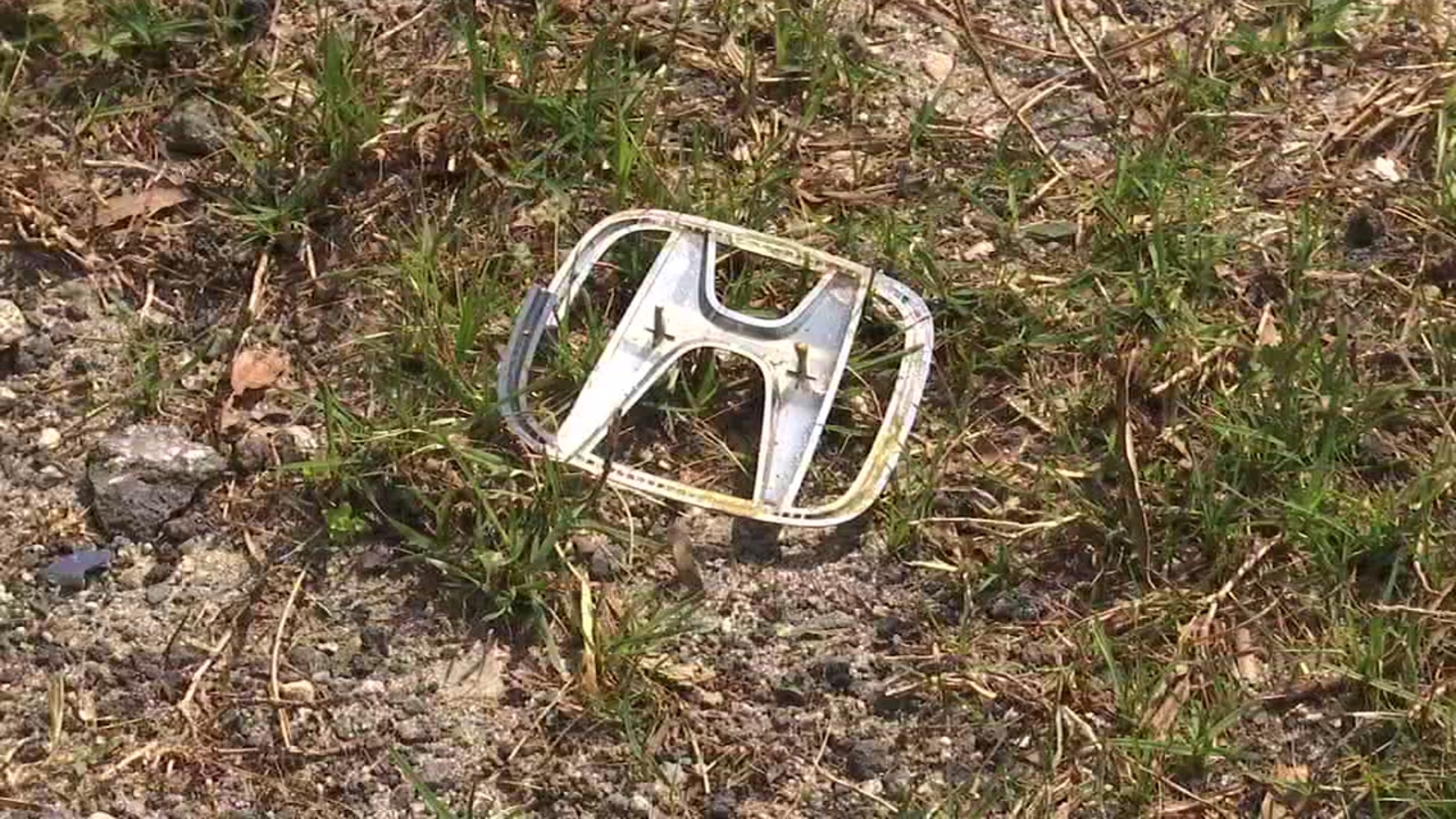 Family urges driver, who ran from scene of fatal crash in Zebulon, to