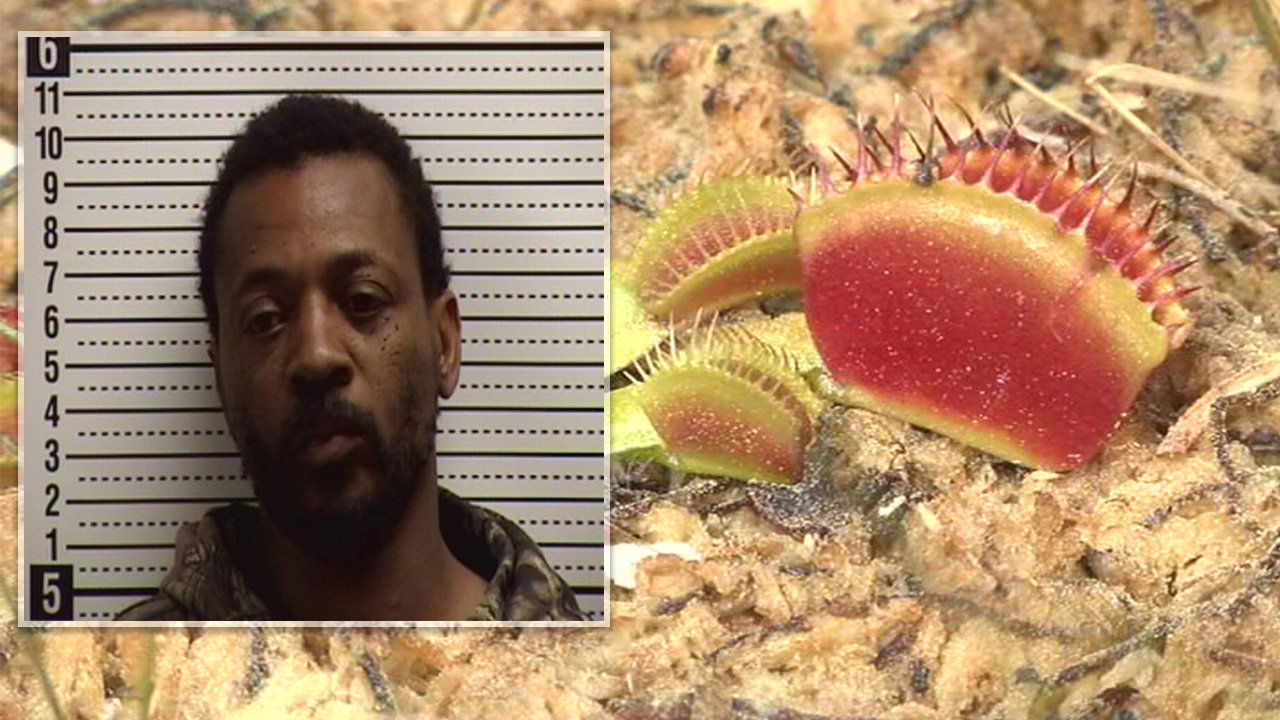 North Carolina man accused of stealing more than 200 Venus flytraps