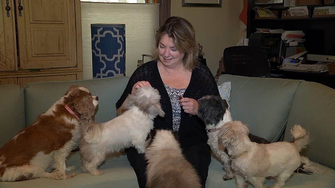 7 On Your Side helps animal rescue with social media meltdown