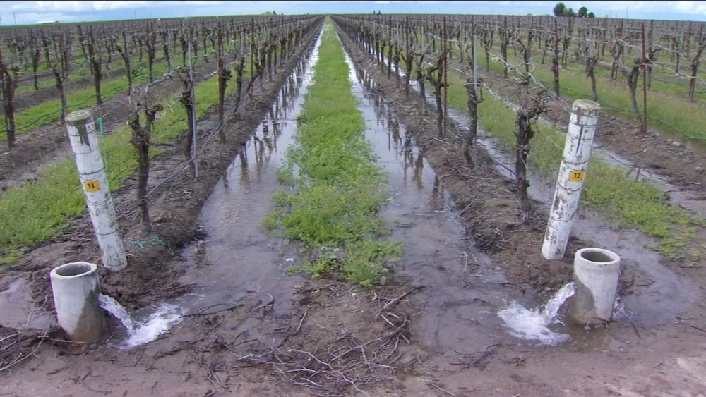 Wet winter provides more water for Valley crops