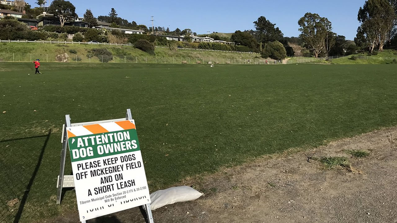 Controversial Tiburon dog ban causing an uproar