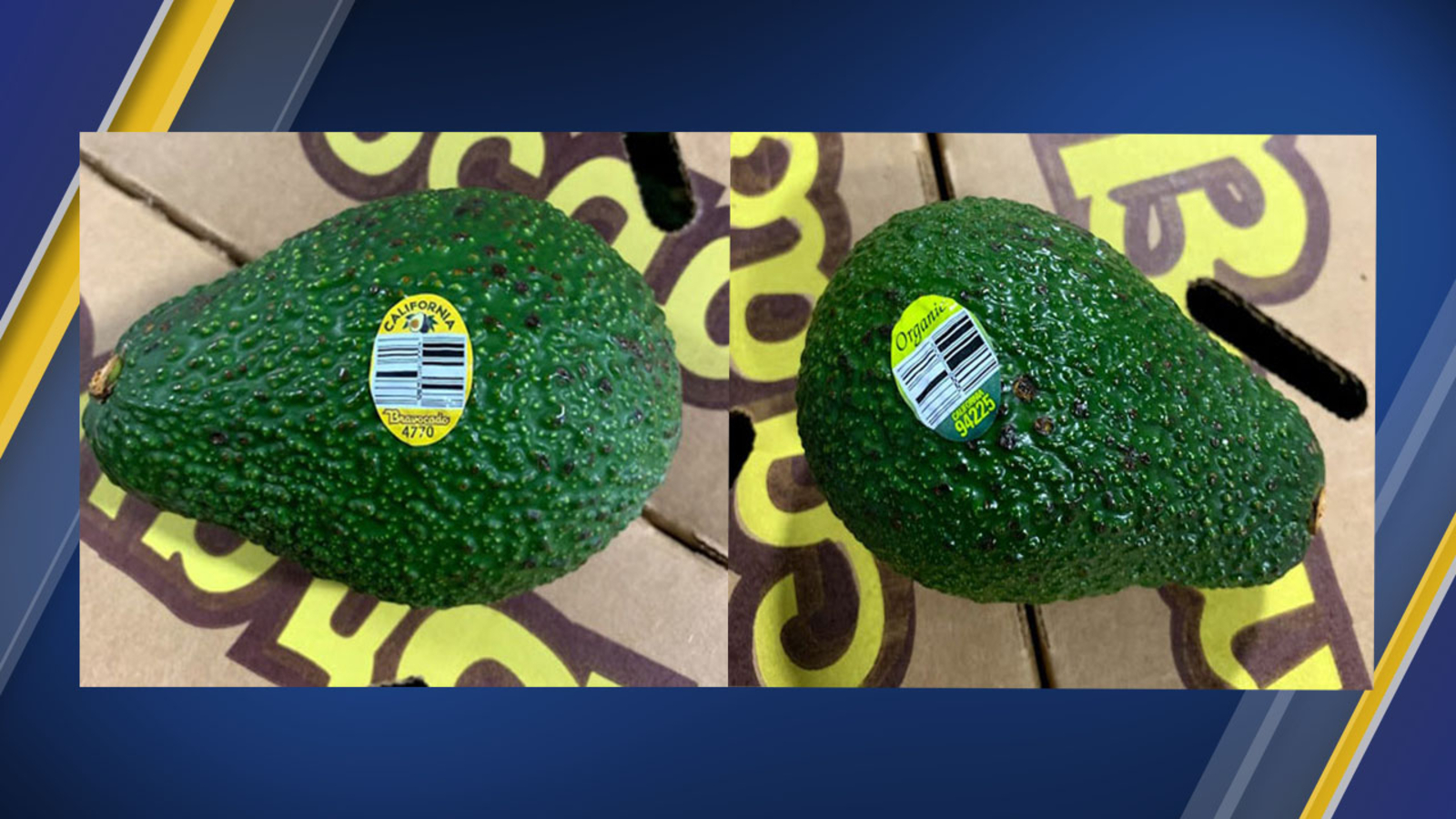 AVOCADO RECALL Avocados recalled in 6 states over listeria concerns