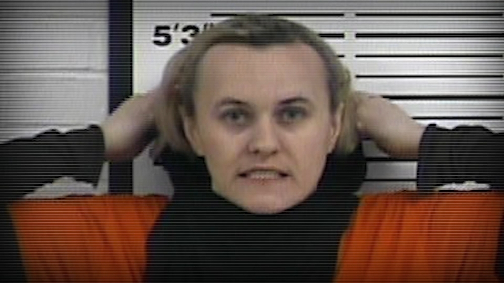 Schiller Park mom Mediha Medy Salkicevic admits role in terror plot