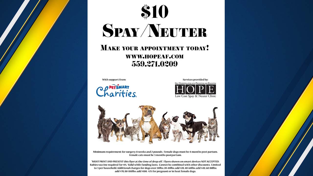 H.O.P.E. Animal Foundation offering low cost spay and neuter services